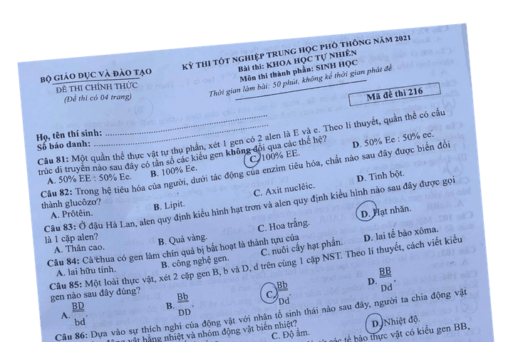 Sắp xét xử vụ lộ đề thi tốt nghiệp THPT 2021