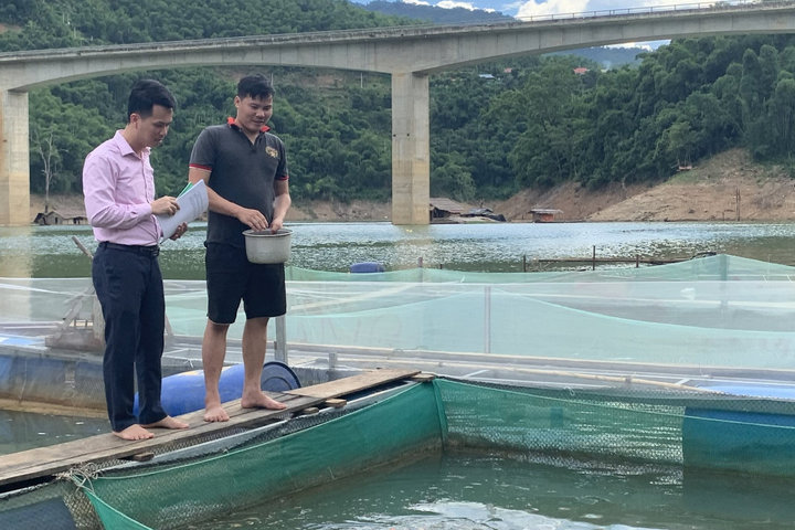 Người dân tăng thu nhập từ việc sử dụng hiệu quả nguồn vốn tín dụng chính sách