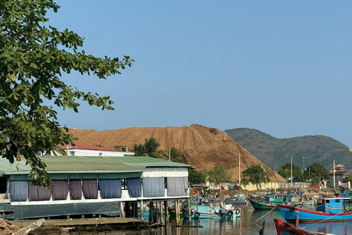 Bình Định: Bãi chứa dăm gỗ ở cảng Quy Nhơn phát sinh bụi, ảnh hưởng khu dân cư