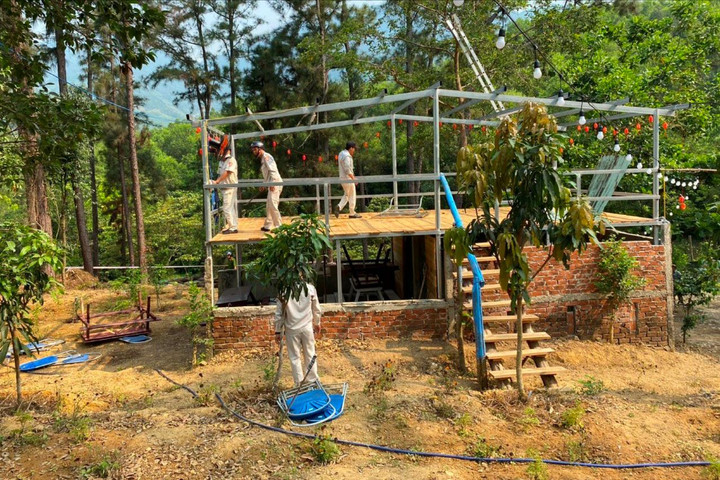 Cưỡng chế, phá dỡ các công trình trái phép trên đất rừng