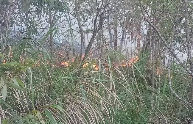 Cháy 10ha rừng tại dãy núi Tây Côn Lĩnh ở Hà Giang