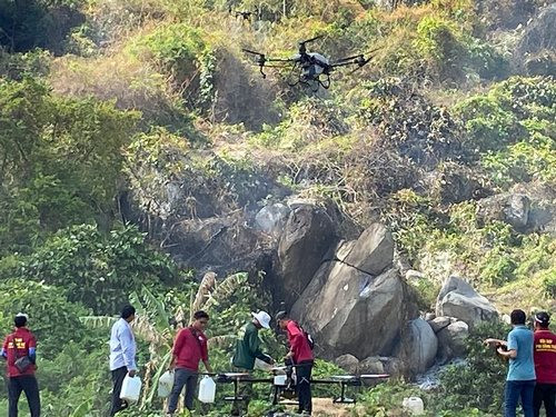Khống chế đám cháy rừng trên núi Cô Tô và núi Dài