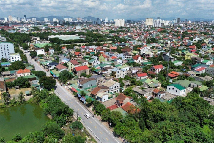 Nghệ An: Đôn đốc cung cấp hồ sơ các dự án trồng cây xanh
