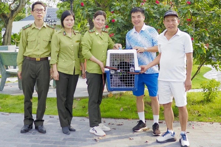 Cứu hộ cá thể vượn đen má hung quý hiếm đi lạc vào vườn nhà dân