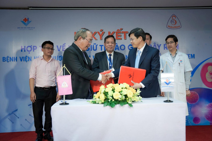 Ngân hàng tế bào gốc Mekostem hợp tác lưu giữ tế bào gốc dây rốn với Bệnh viện Hùng Vương Gia Lai
