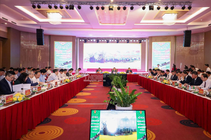Thúc đẩy tiềm năng phát triển vùng Trung du và miền núi phía Bắc