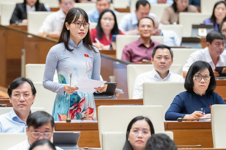 ĐBQH đề nghị giảm thuế thu nhập doanh nghiệp, thuế thu nhập cá nhân