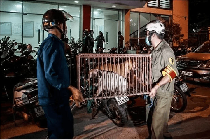 Kiểm soát bệnh lây truyền từ động vật sang người