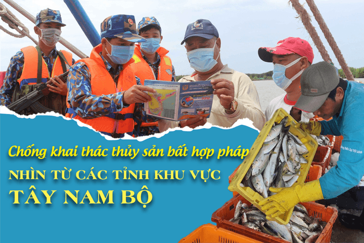 Chống khai thác thủy sản bất hợp pháp: Nhìn từ các tỉnh khu vực Tây Nam Bộ - Bài 3: Nỗ lực gỡ “thẻ vàng”của các địa phương khu vực Tây Nam Bộ