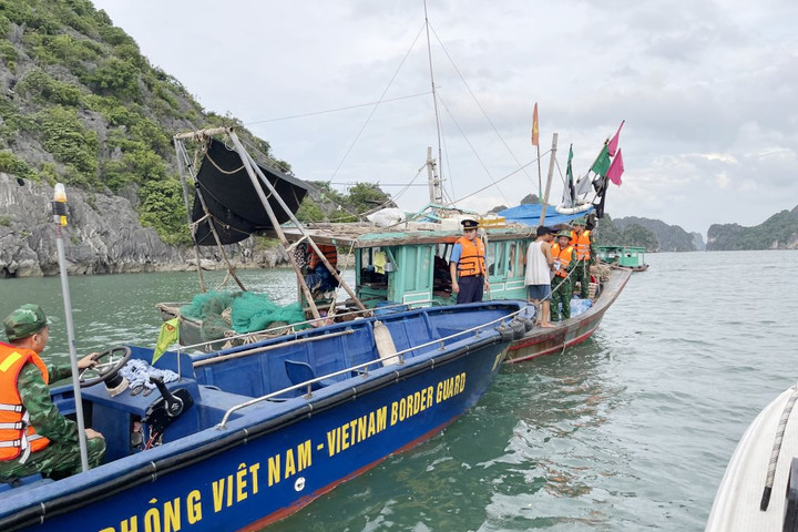 Quảng Ninh liên tiếp phát hiện, xử lý các phương tiện hoạt động trái phép trên Vịnh Hạ Long