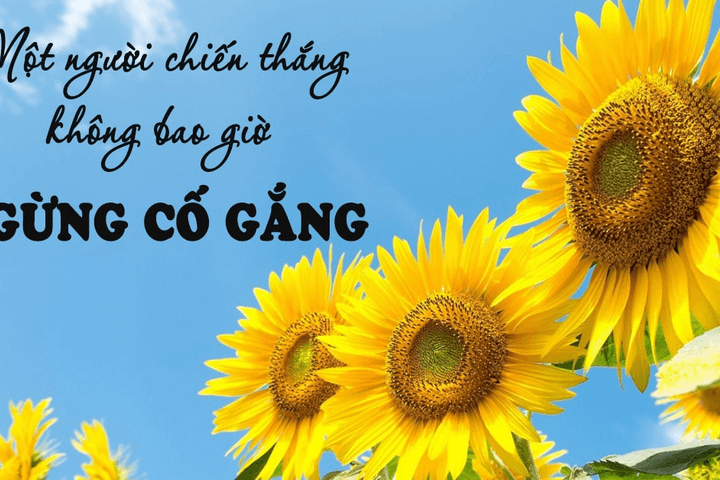 Cảm ơn con… vì đã cố gắng!