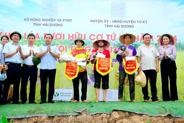 Sôi nổi ngày hội lúa rươi hữu cơ Tứ Kỳ năm 2024
