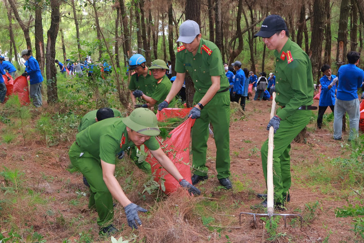Thu gom thực bì phòng chống cháy rừng