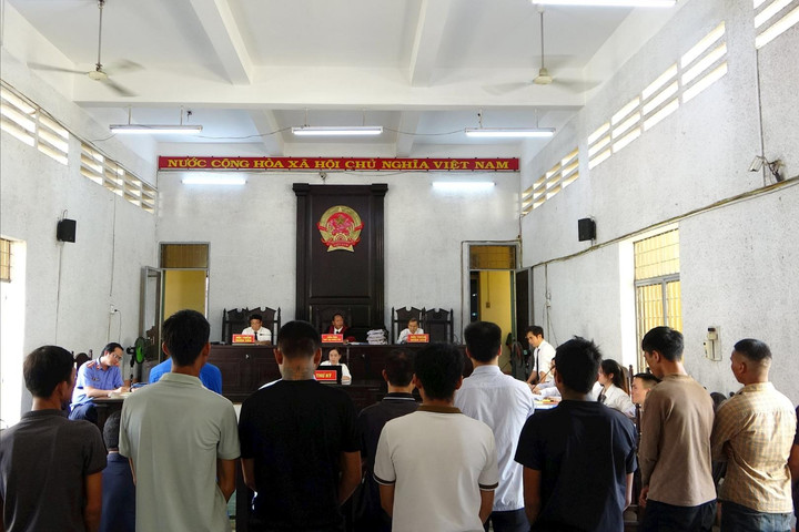Nhiều cựu cán bộ hầu tòa liên quan vụ phá hơn 400ha rừng