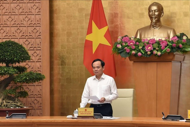Phó Thủ tướng: Xét xử nghiêm các vụ đánh bắt thủy sản bất hợp pháp