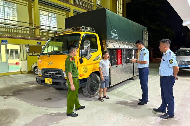 Xử phạt, tiêu hủy lượng lớn trái cây nhập lậu