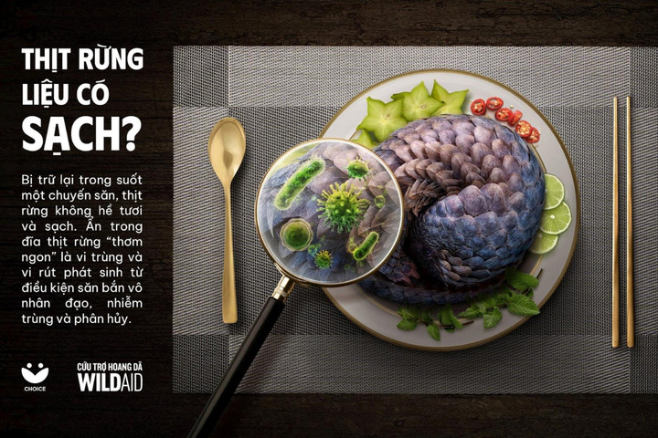 Chung tay bảo vệ động vật hoang dã qua “Chiến dịch thịt rừng sạch - sành - 'xanh'?"