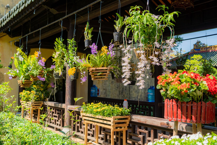 Ngàn hoa khoe sắc tại vườn thượng uyển của Kinh đô Huế xưa