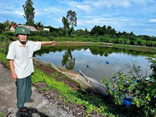 An Giang: Chuỗi liên kết đổ vỡ, hàng chục hộ nuôi cá tra điêu đứng
