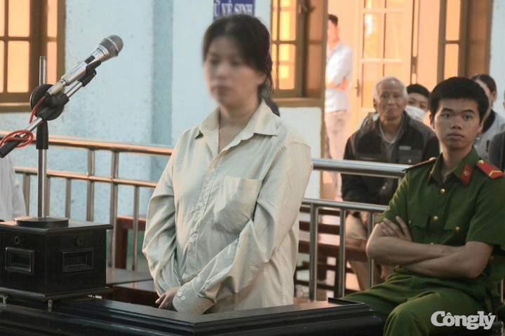 Lừa làm dịch vụ đáo hạn ngân hàng, chiếm đoạt hàng tỷ đồng