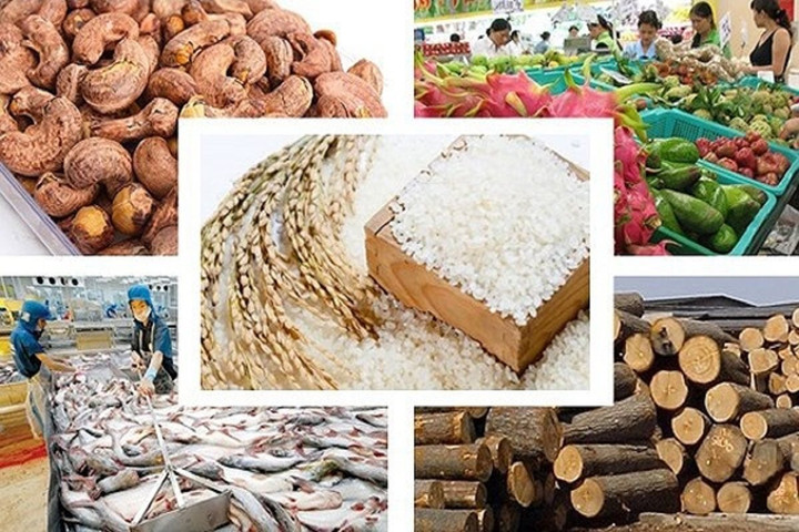 Xuất siêu nông lâm thủy sản tăng 62,4% nửa đầu năm