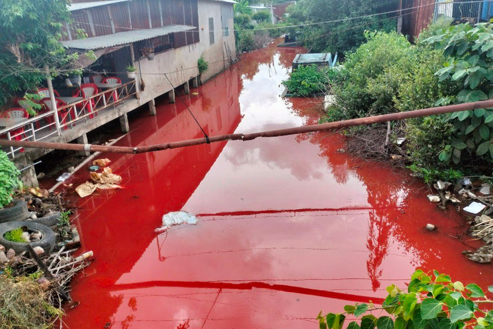 Người dân hoang mang vì nước kênh bỗng dưng chuyển sang màu đỏ
