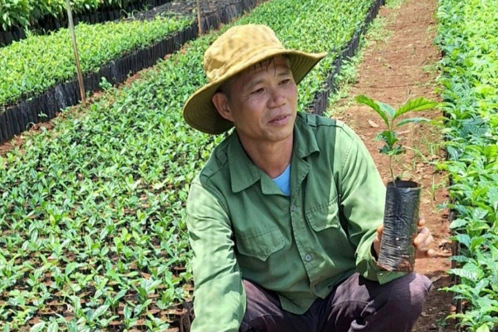 Đắk Lắk: Tạm dừng để rà soát toàn diện dự án tại thôn 11 xã Hòa Thắng