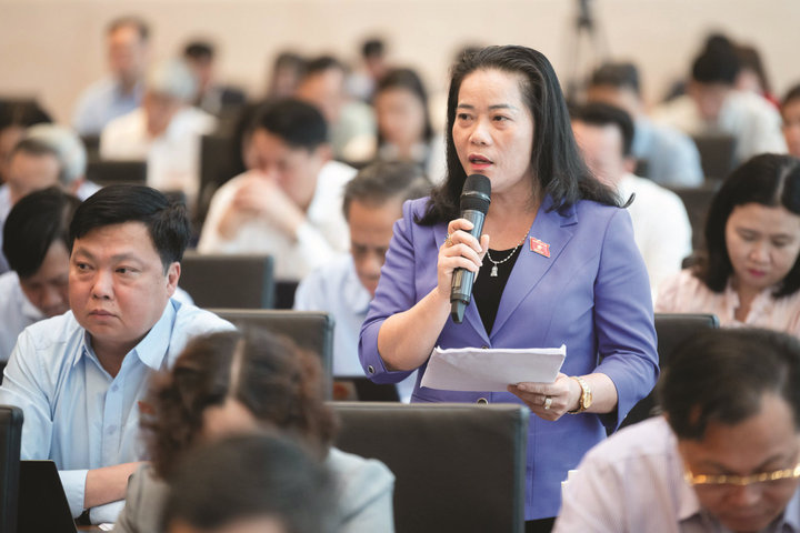 Tòa án giải thích áp dụng pháp luật trong xét xử, giải quyết vụ án, vụ việc