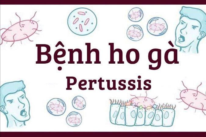 Quảng Ngãi phát hiện hai ca mắc bệnh ho gà