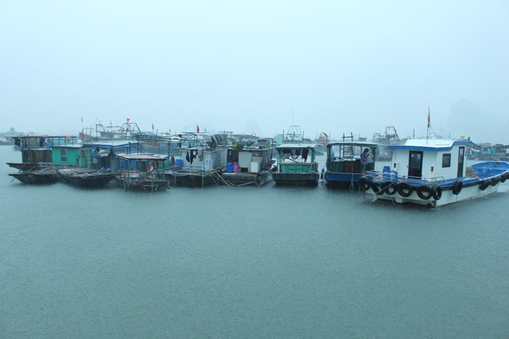 Quảng Ninh huy động mọi nguồn lực ứng phó với bão số 2