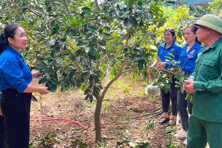 Người thương binh “Dũng cảm trong thời chiến, là gương sáng trong thời bình”