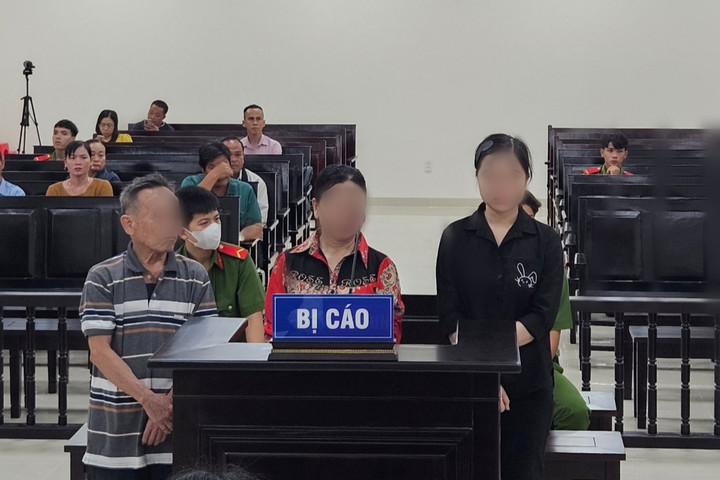 Làm giả giấy tờ đất chiếm đoạt gần 1,3 tỷ đồng
