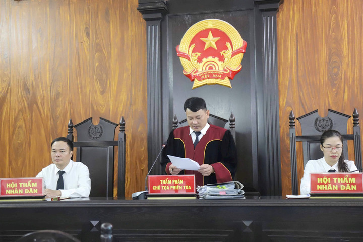 Người đàn ông bị phạt 171 triệu đồng, 4 năm tù vì phá rừng