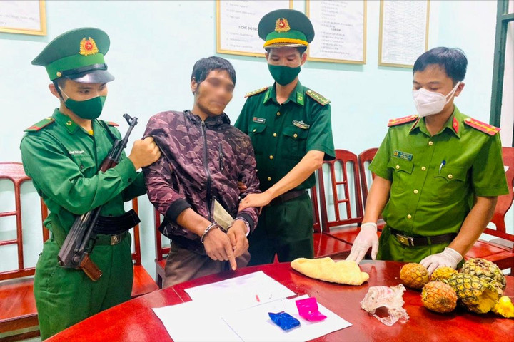 Giấu ma túy trong quả dứa để vận chuyển qua biên giới
