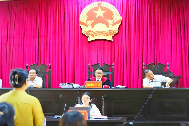 Giám đốc Công ty cổ phần CNTT Lam Hồng cùng thuộc cấp lĩnh án