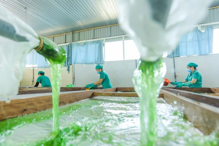 Kỳ 3: Từ Cựu chiến binh đến Nông dân xuất sắc tiêu biểu toàn quốc