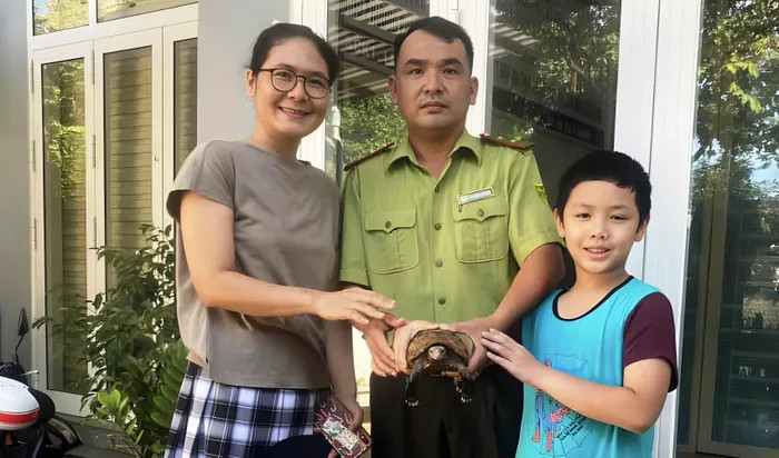 Người dân ở Huế tự nguyện giao nộp cá thể rùa vàng núi quý hiếm