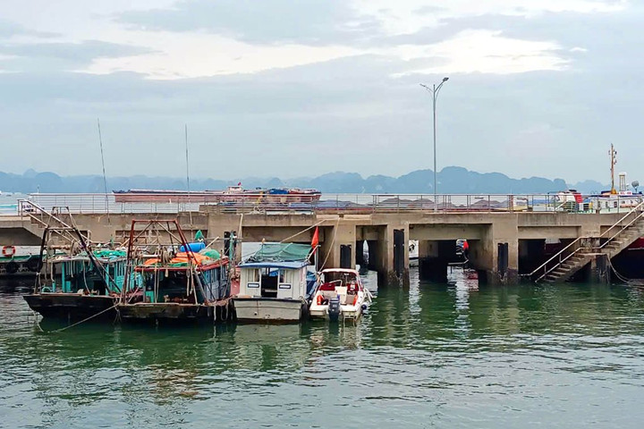 Xuồng cao tốc ‘nhiều không’ chở khách tham quan Vịnh Hạ Long