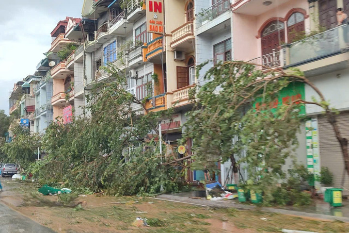 Quảng Ninh tập trung khắc phục hậu quả cơn bão số 3