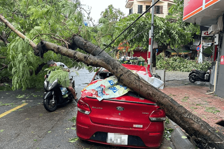 Trường hợp nào ô tô bị hư hại do thiên tai sẽ được hưởng bảo hiểm?