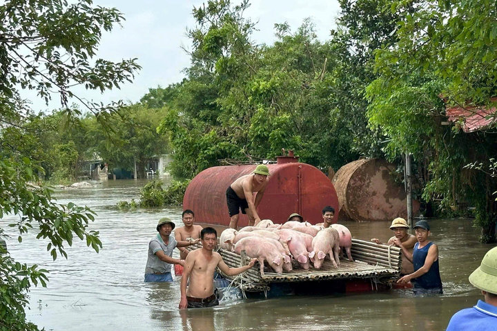 Bắc Ninh phát lệnh báo động 3 trên sông Cầu