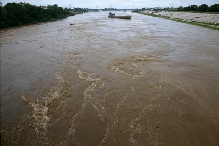 Hà Nội: Báo động lũ cấp 1 trên sông Hồng, sông Đuống