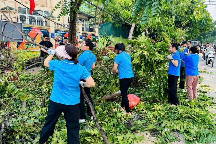 Hà Nội: Thu dọn cây xanh gãy, đổ sau bão số 3