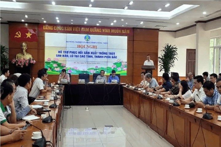 Hỗ trợ khôi phục sản xuất trồng trọt sau bão lũ