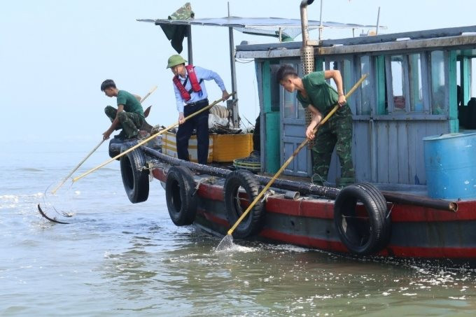 Quảng Ninh thu gom 643m3 rác thải trôi nổi trên vịnh Hạ Long