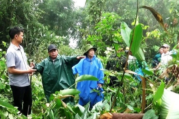 Quảng Nam: Khảo sát địa điểm lập làng di dân phòng sạt lở
