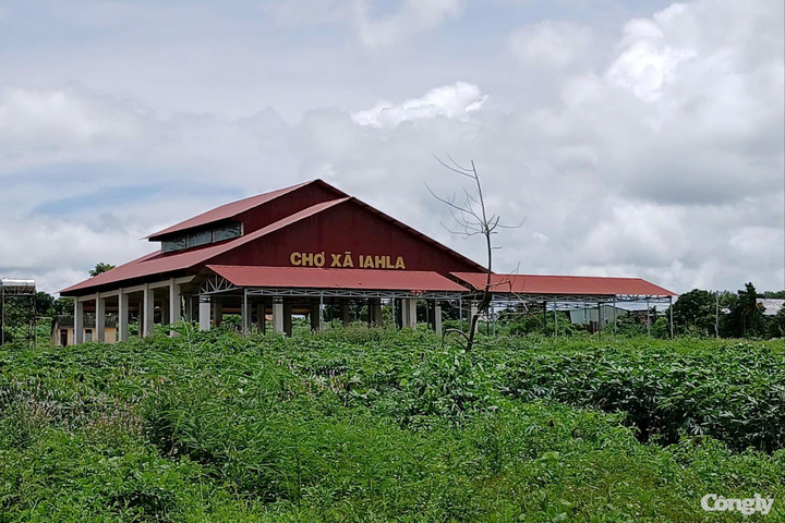Gia Lai: Tiểu thương đã vào chợ buôn bán sau phản ánh của Báo Công lý
