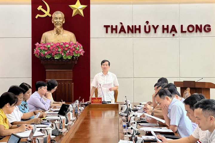 Tạm đình chỉ Giám đốc Ban Quản lý dự án đầu tư xây dựng TP Hạ Long