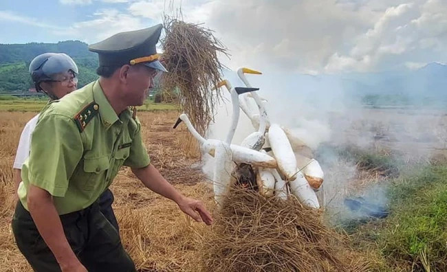 TT-Huế: Hàng ngàn dụng cụ bẫy chim được tháo dỡ và tiêu hủy