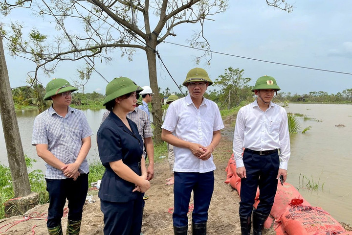 Nhanh chóng phục hồi sản xuất nông nghiệp sau bão